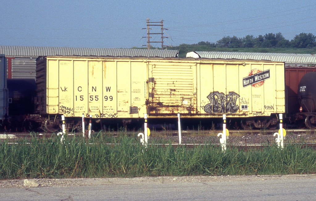 CNW 155599 basking in the morning sun